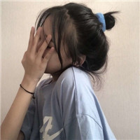 admin头像